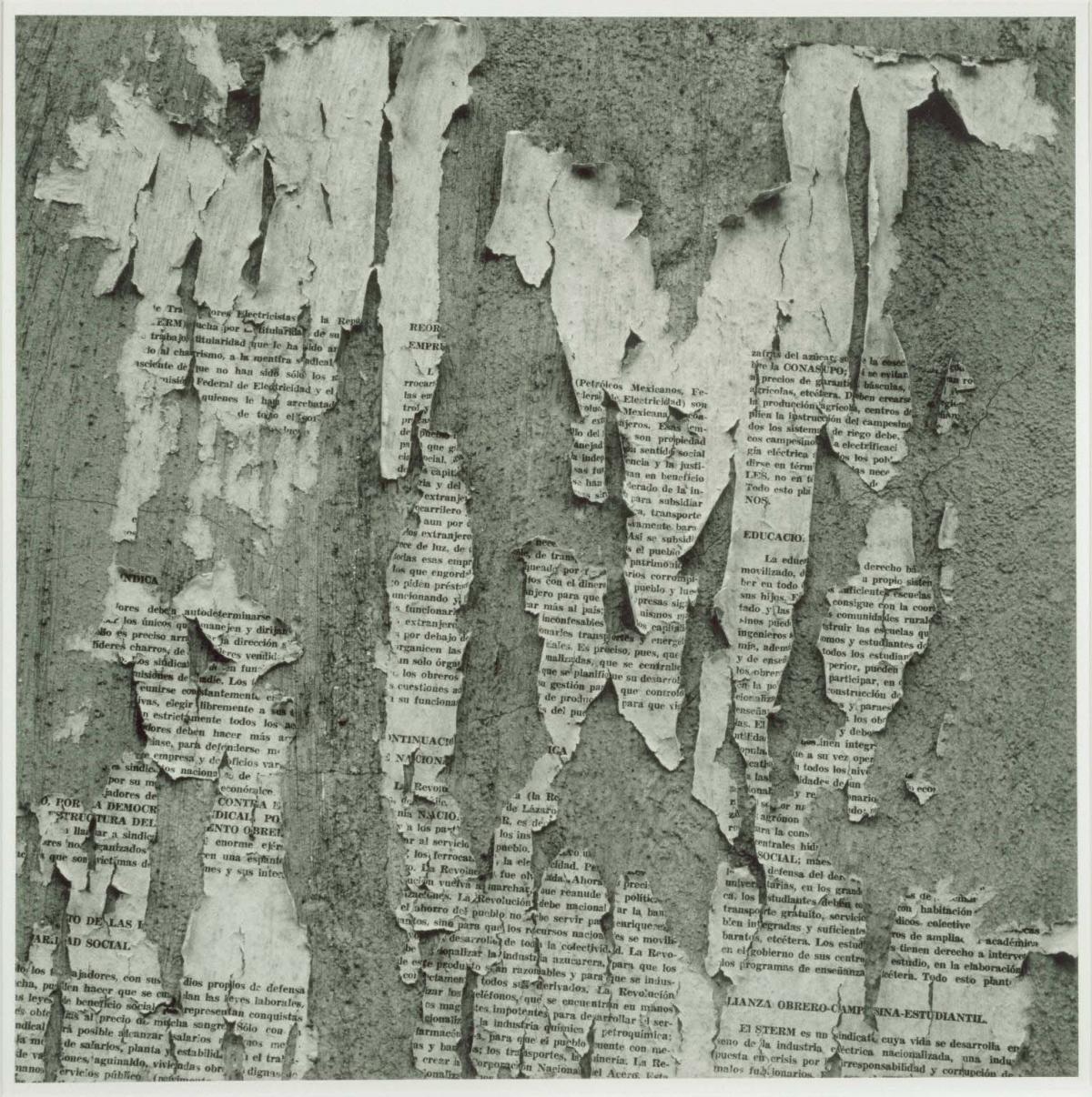 Collection item 2005.009.0001