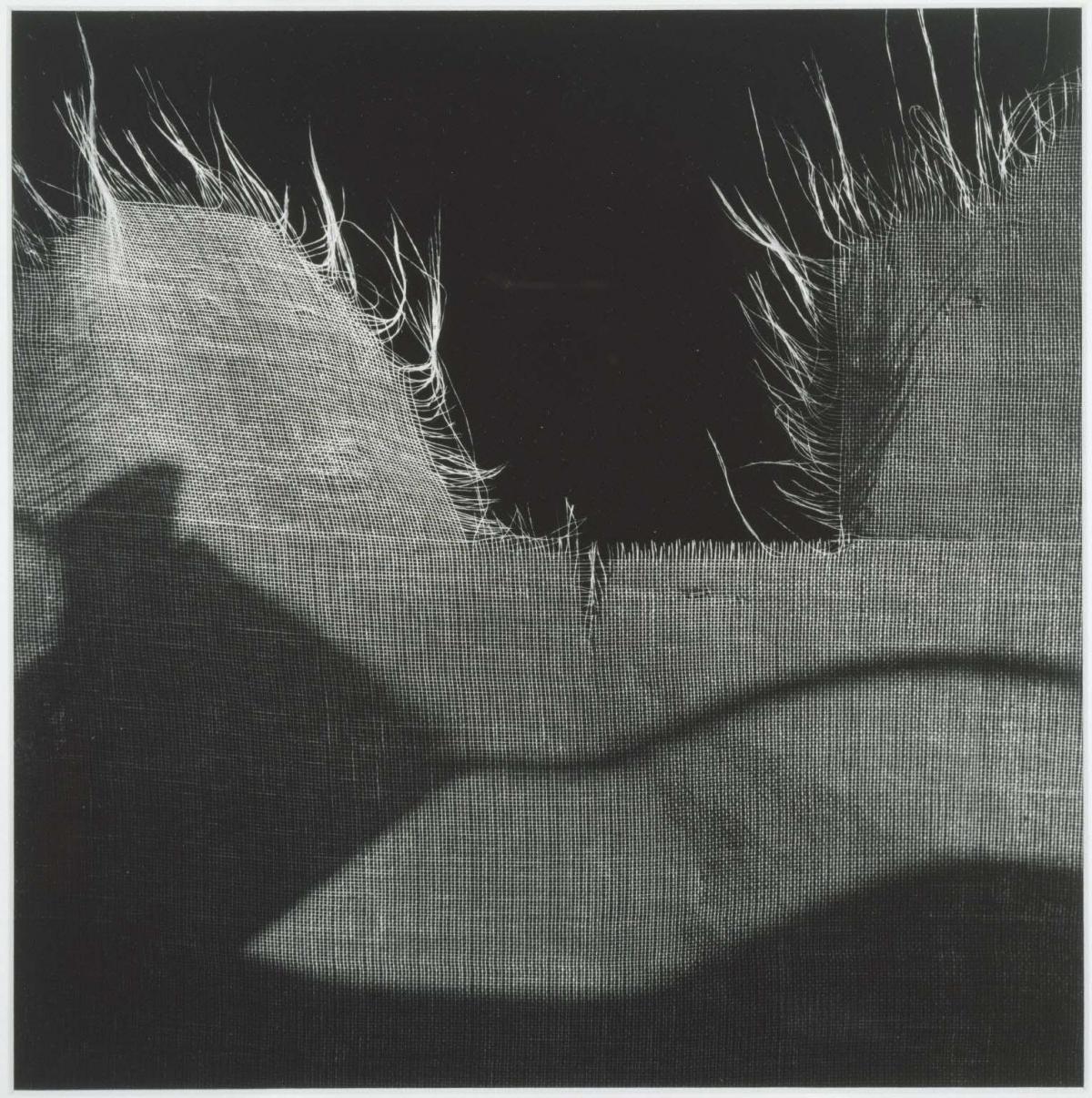 Collection item 2005.010.0001