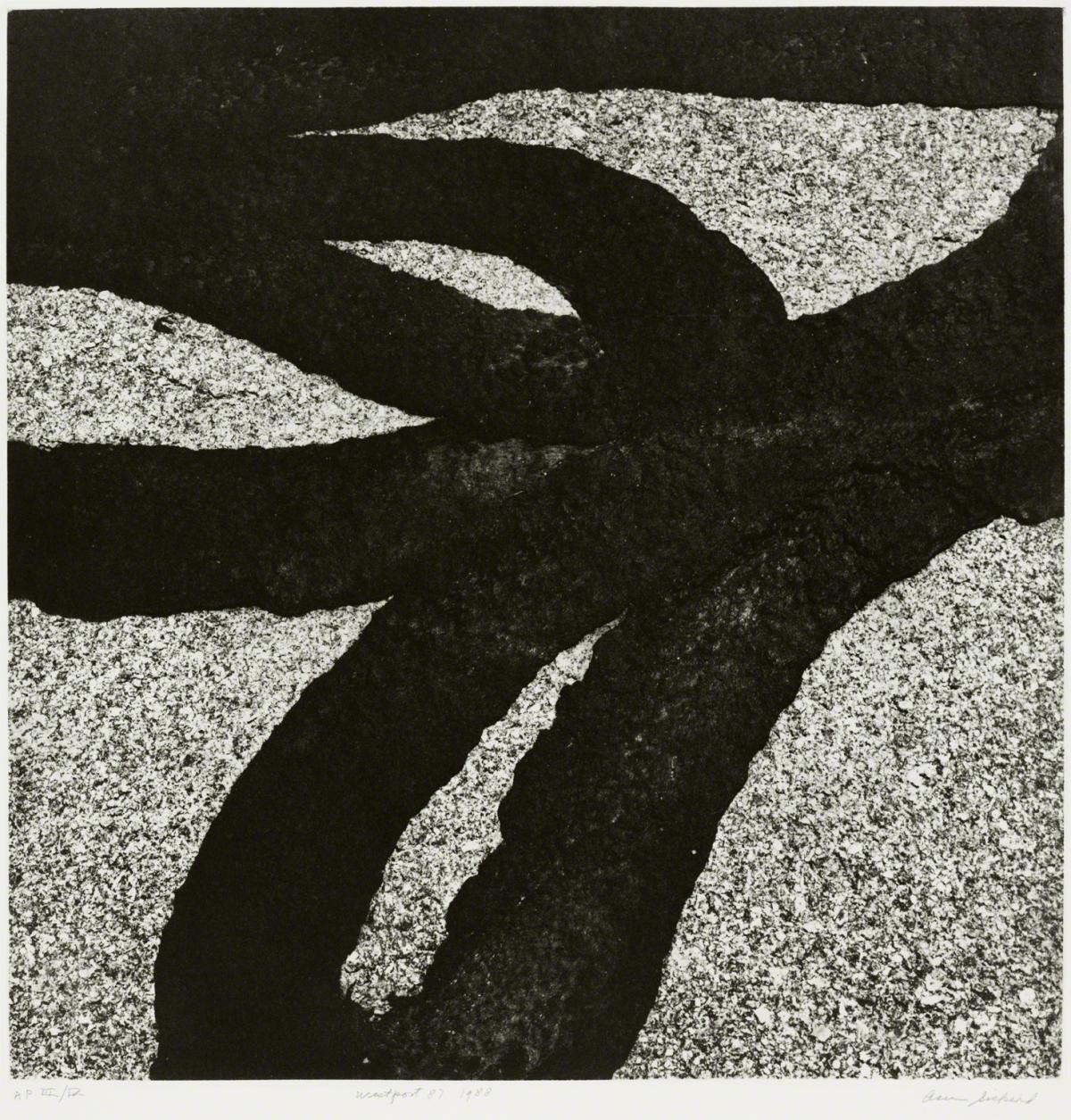 Collection item 2015.027.0001