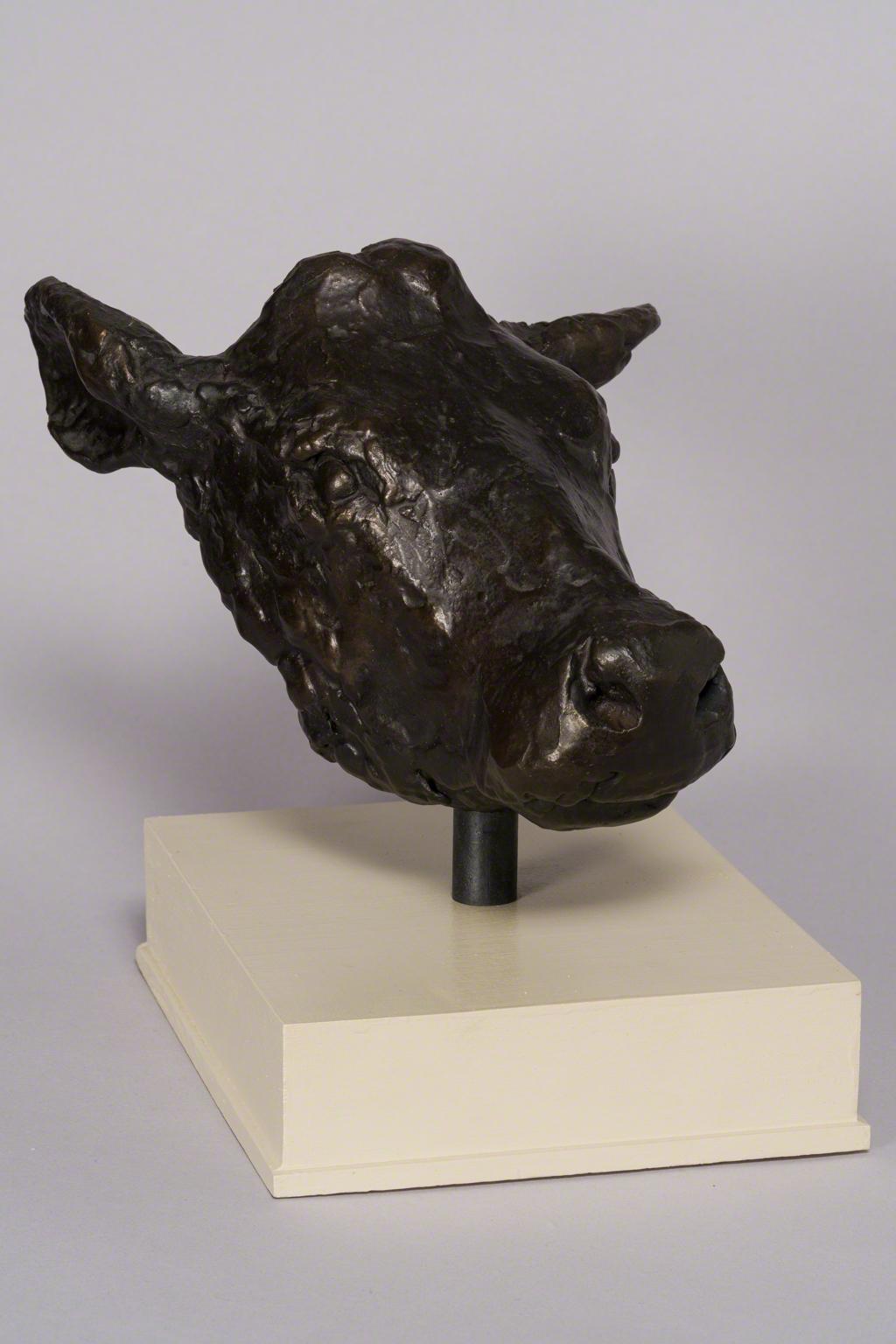 Jack Boul, Large Cow Head, not dated.