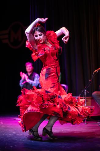 Flamenco Vivo performance