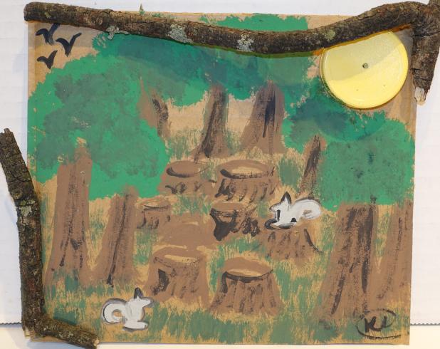 A forest scene with trees cut down.