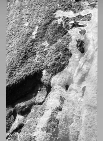 Black and white abstract photograph