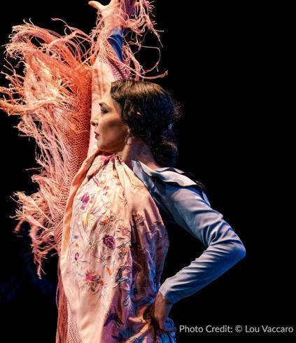 Flamenco Vivo performance