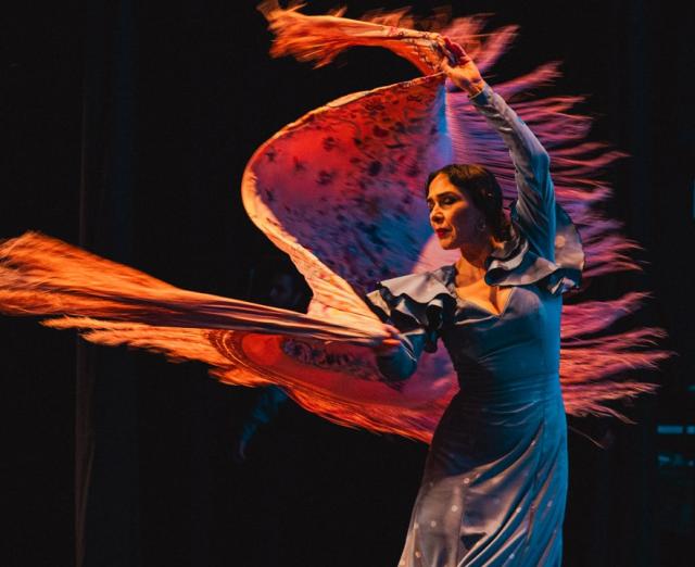 Flamenco Vivo performance