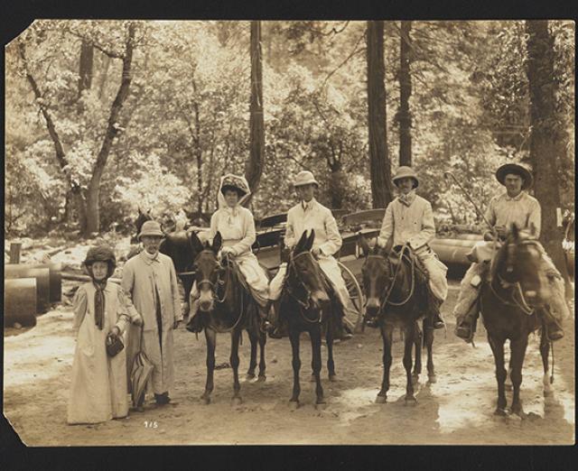 Phillips Family Trip