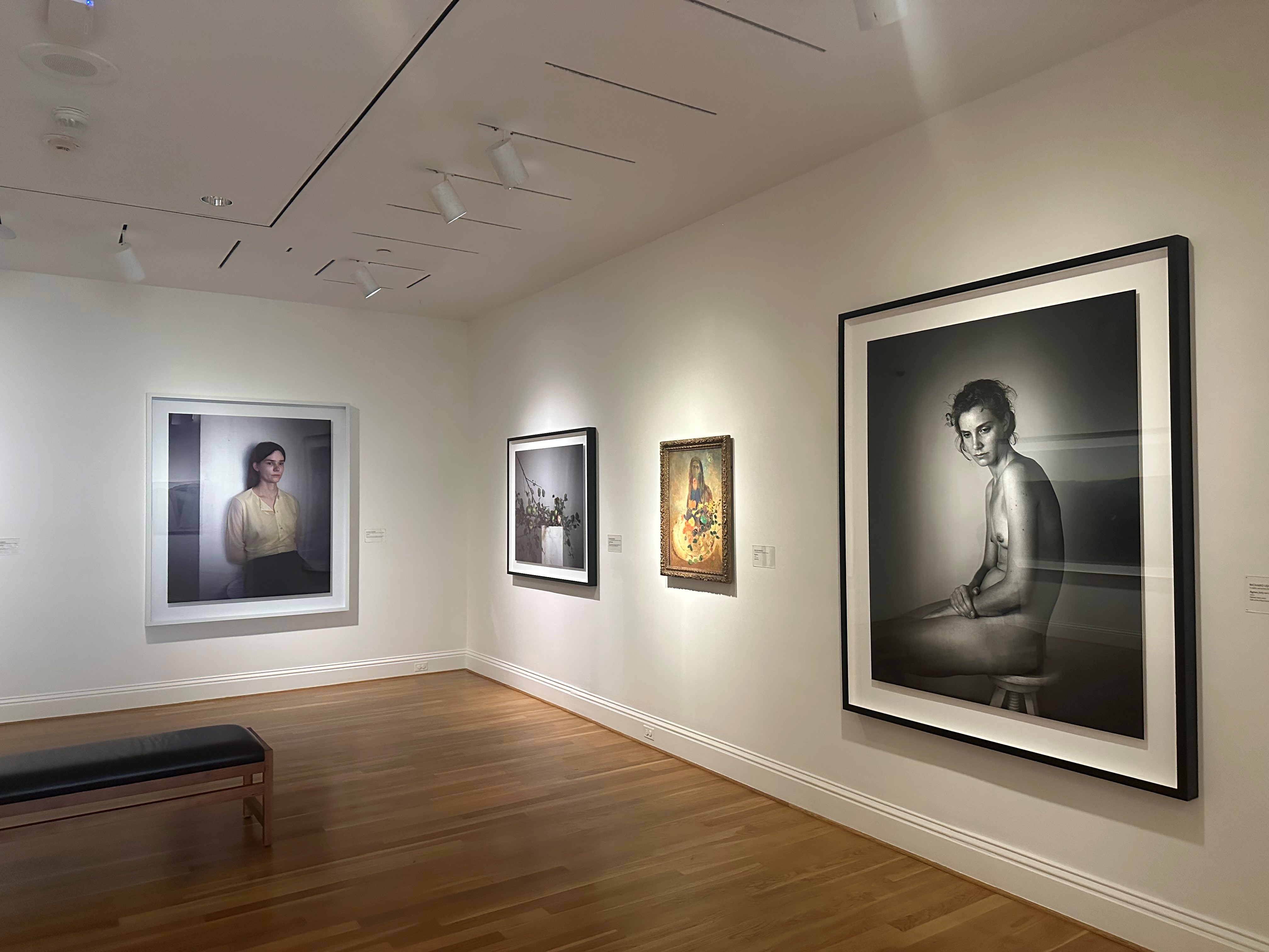 Installation photograph of Richard Learoyd and Odilon Redon artworks