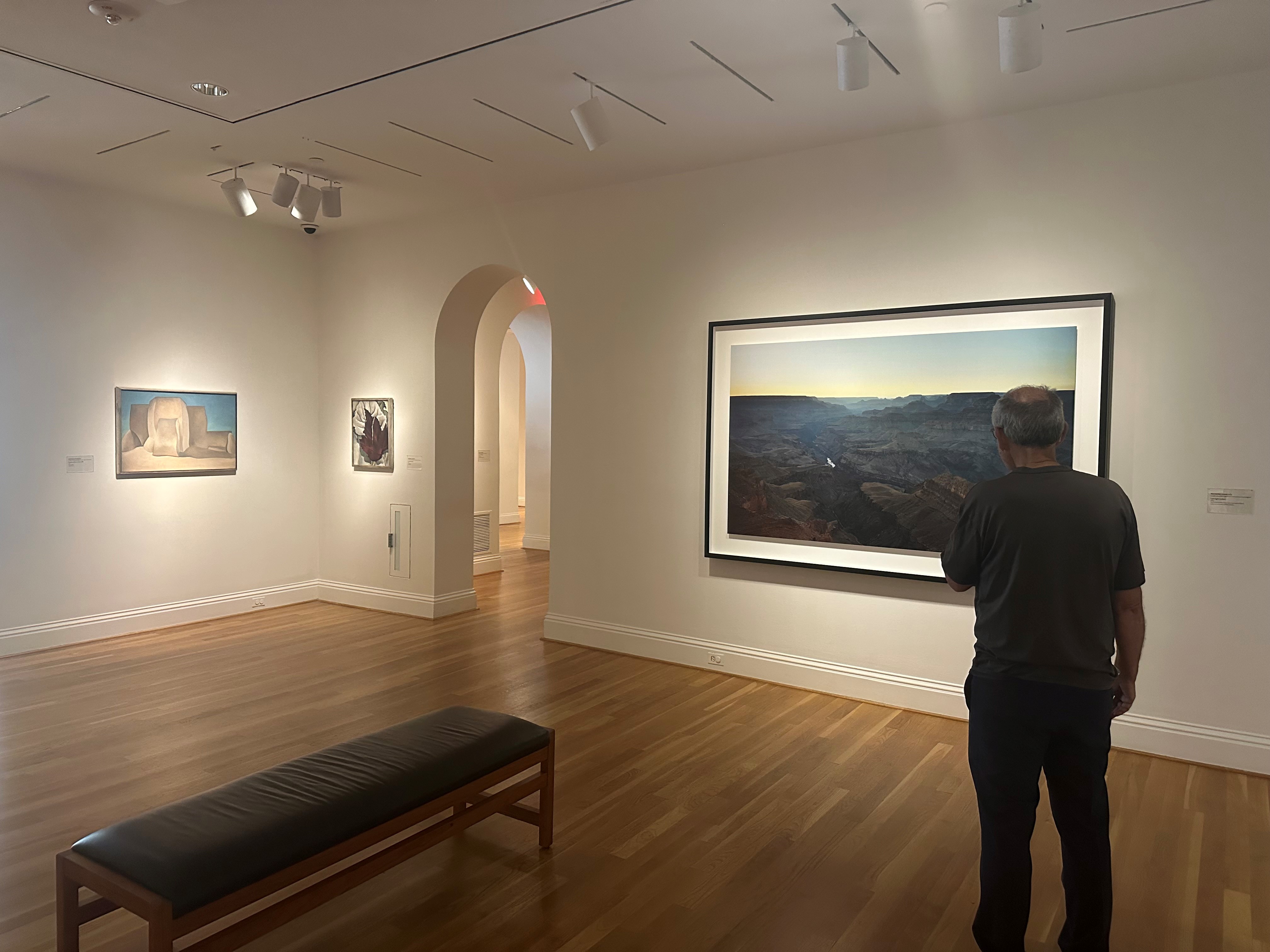 Installation photograph of Georgia O'Keeffe and Richard Learoyd artworks
