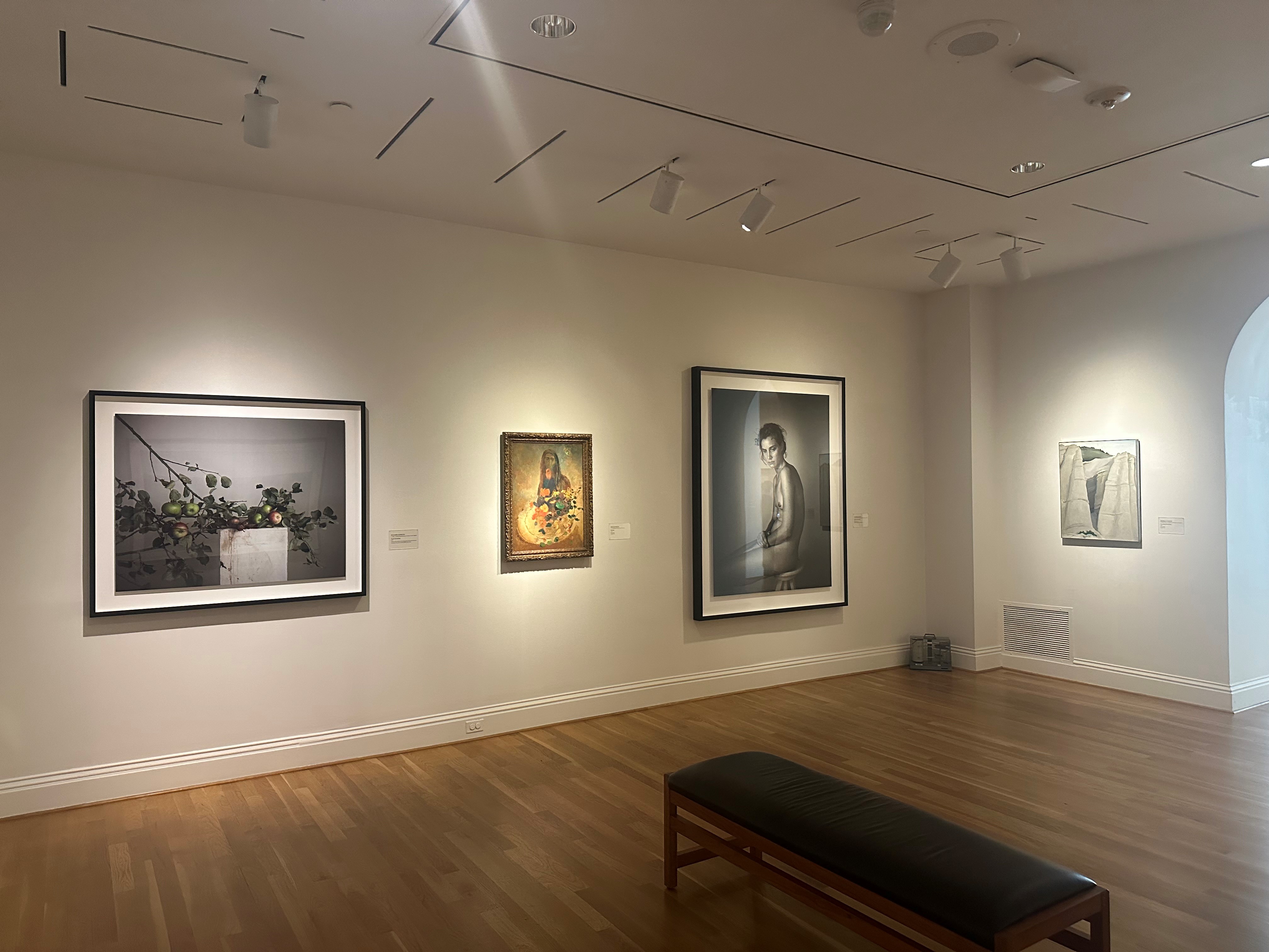 Installation photograph of Richard Learoyd, Odilon Redon, and Georgia O'Keeffe artworks
