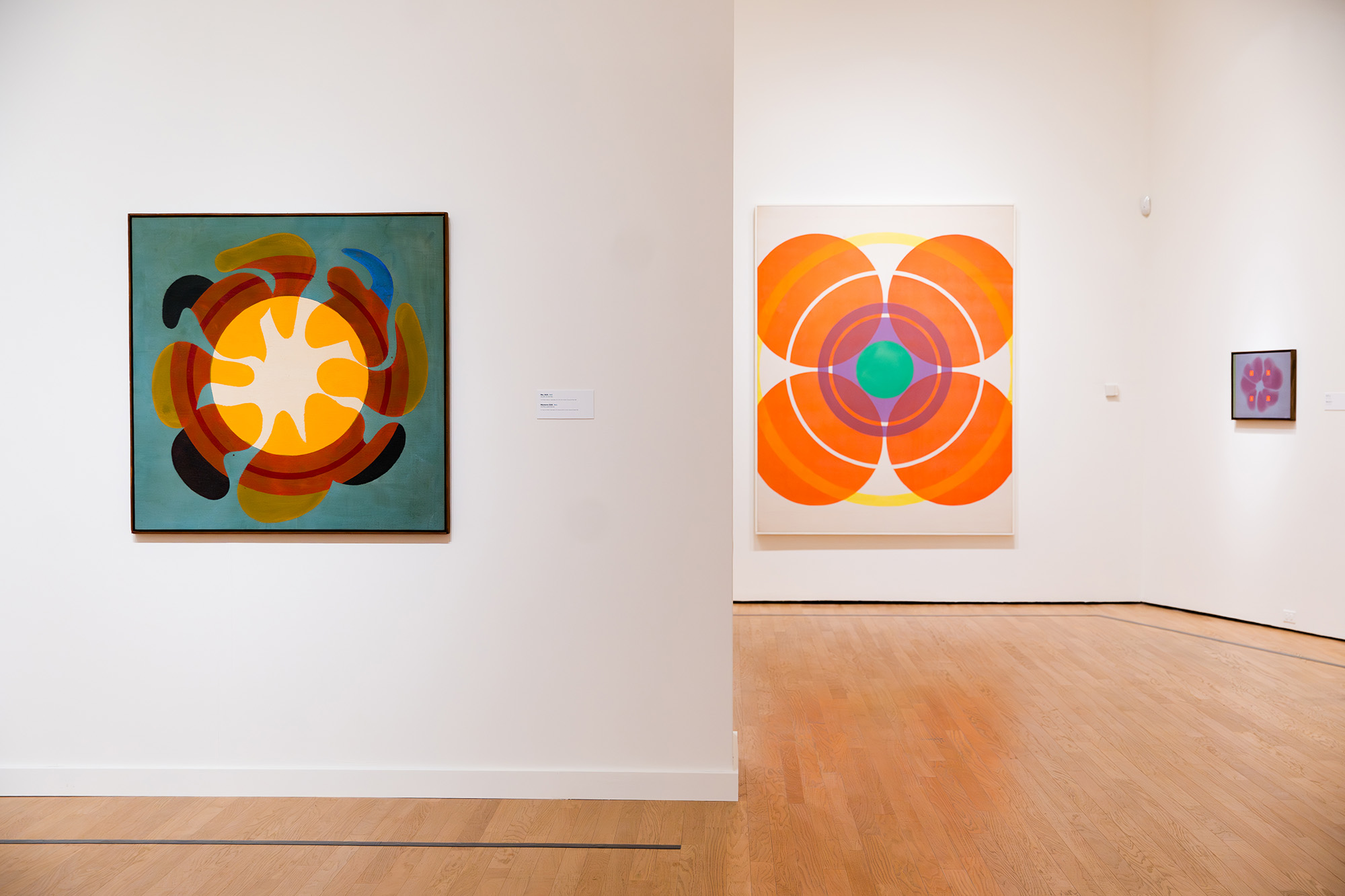 Installation view of Paul Reed exhibition at OKCMOA