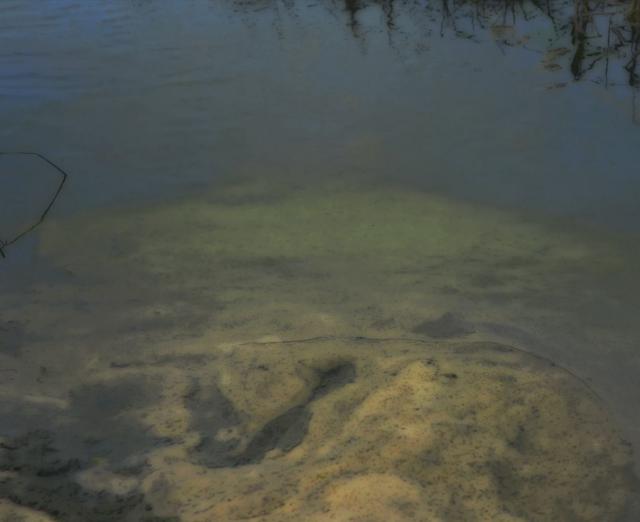 video still of a shallow murky creek