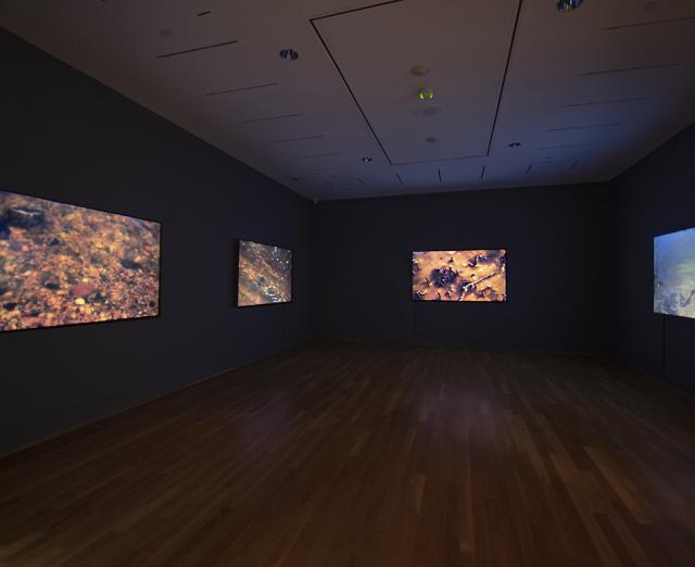 installation view of peter campus: there somewhere