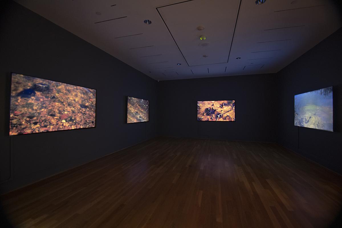 installation view of peter campus: there somewhere