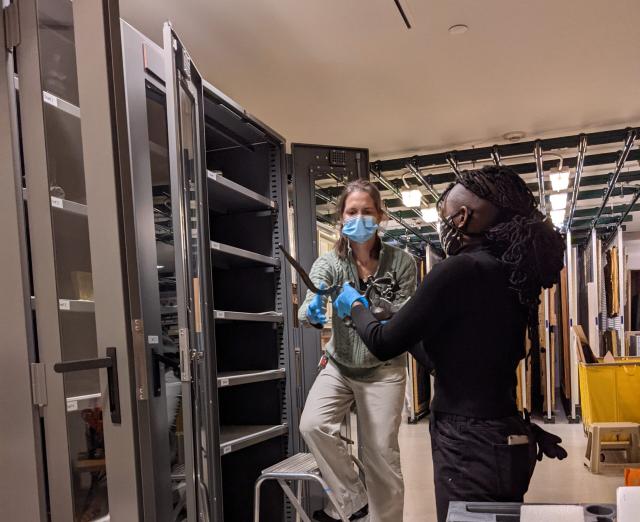 Photo of sculpture storage