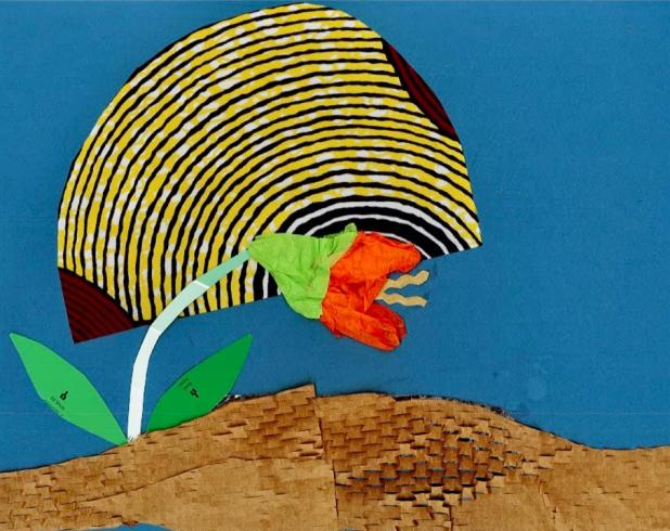 Collage of a flower wilting in the sun.