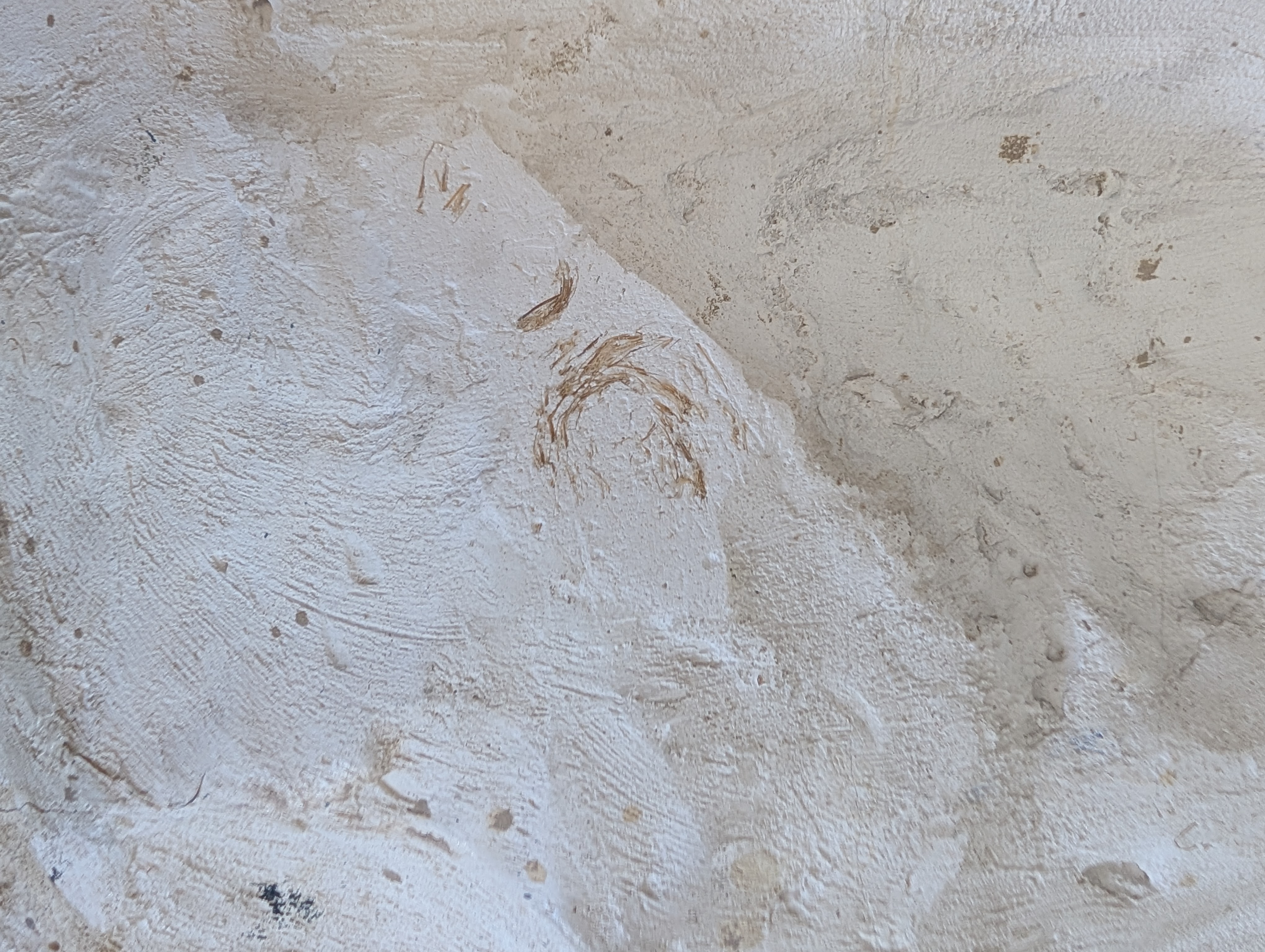 Close-up of back of Gallic Cock by Raymond Duchamp Villon 